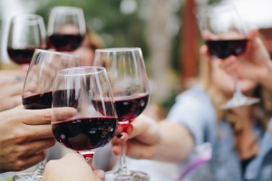 Unveiling the Beauty of Wine Tours with Washington DC Party Bus Tours
